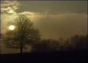 À quelle signification d'une expression idiomatique l'image correspond-elle ?