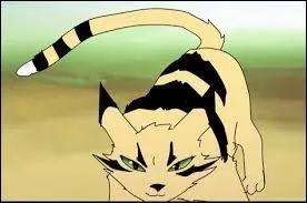 Mais qui sont les parents de Longue Plume ?