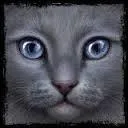 Étoile de Givre a deux enfants, Griffe d'Ajoncs et :