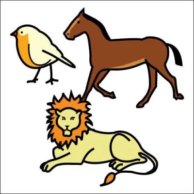 Quel est le temps utilisé dans cette phrase : 
"Ils ne connaissent rien sur les animaux".