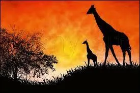 Vous faites tout avec inefficacité !