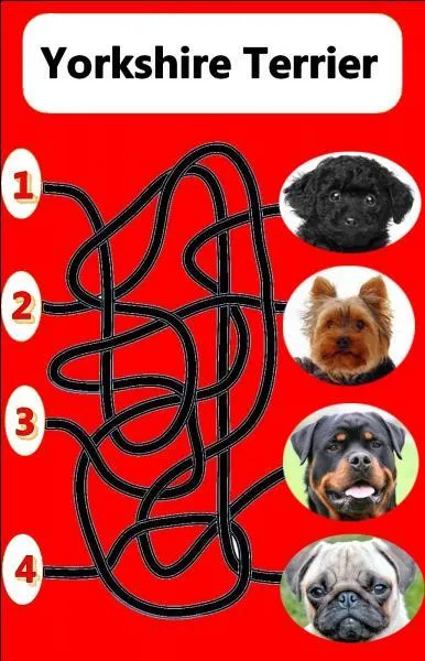 Quel est le bon numéro ?