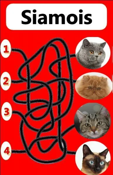 Quel est le bon numéro ?