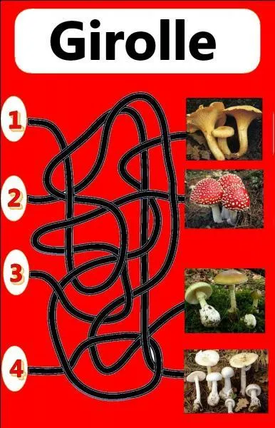 Quel est le bon numéro ?