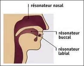 Qu'est-ce donc que le relâchement articulatoire ?