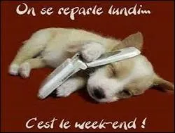 Farniente est-il seulement un substantif ou existe-t-il aussi le verbe ?