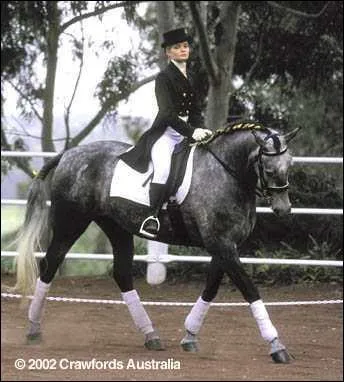 Comment s'appelle le pur-sang de cette championne ?