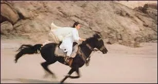 Dans les livres (ou films) "l'étalon noir", Black est un étalon..