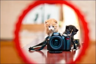 Dessin effectué de mémoire, permettant de retrouver une personne recherchée !