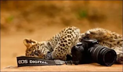 Etude des effets chimiques dus à la lumière !