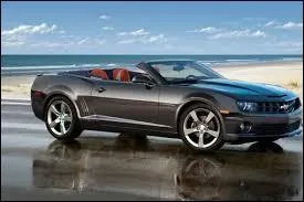 Celle-ci est une ...