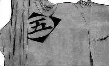 Qui est accusé à tort de hollowmorphose sur les vizards ?