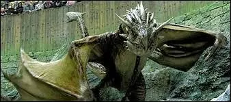 Dans le film "Harry Potter et la Coupe de Feu", quel dragon Fleur Delacour doit-elle affronter ?