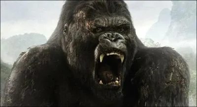 Quel acteur joue le rôle de King Kong ?