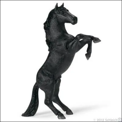 De quelle espèce et de quelle race est ce cheval ?