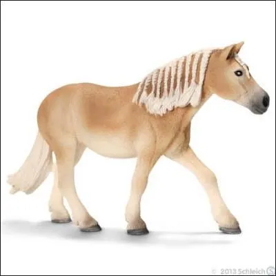 De quelle race et de quel sexe est ce cheval ?