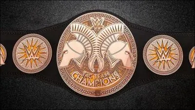 Quelle est cette ceinture ?