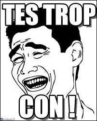 Qui a dit « Si on rencontre un vrai con en Suisse, c'est un Belge. » ?