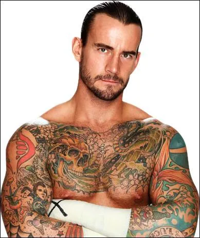 Qui a battu CM Punk et a mis fin à son règne de Wwe Champion ? Lors de quel évènement ?