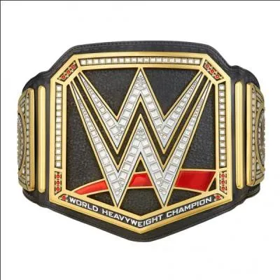 Lors de quel événement le WWE et le World Heavyweight Championship se sont-ils unifiés et quel était le match ?