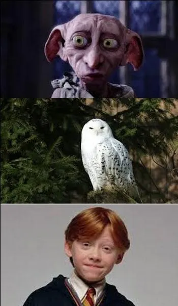 À quoi pensez-vous ?