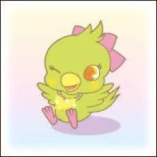 Quel est cet oiseau ?