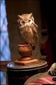 Qui a choisi le nom "Coquecigrue" ?