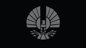 Les districts sont gouvernés par :