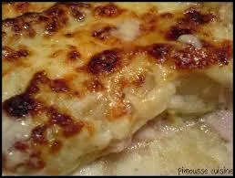 Si ... as faim, il me reste un gratin d'endives au jambon.