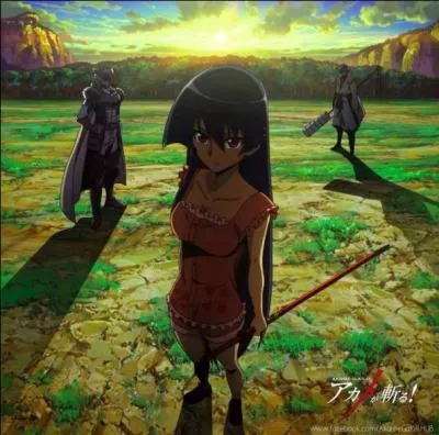 De quelle couleur est le tome 1 d'Akame ga Kill ?