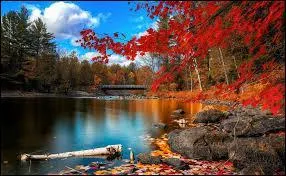 Bien qu'elle soit au 4e rang des villes du Canada, elle est la capitale de cet État.