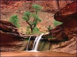 Cotonou est la plus grande ville du Bénin mais la capitale est Porto Novo dont le maire actuel porte le joli prénom de Nicéphore qui est aussi celui de l'inventeur de...