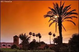 Rabat est la capitale du Maroc mais Casablanca est beaucoup plus peuplée. Quel acteur mythique tenait le rôle principal dans ''Casablanca'' ?