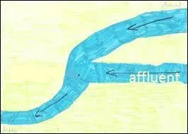 La Marne se jette dans la Meuse.