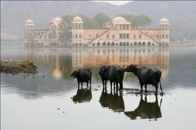 New Delhi est bien moins peuplée que Bombay. Quelle ville indienne est un port maritime ?