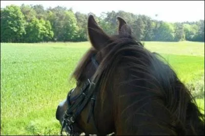 As tu aimer ce questionnaire