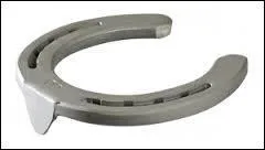 Combien de pinçons y a-t-il dans des fer équipant les antérieurs ?