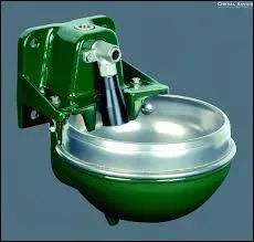 Il faut veiller à la propreté de l'eau donnée au cheval. Mais selon quelle fréquence ?