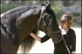 La communication avec son cheval doit être faite de quelle manière ?