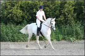 Que faut-il faire pour changer de diagonale ?