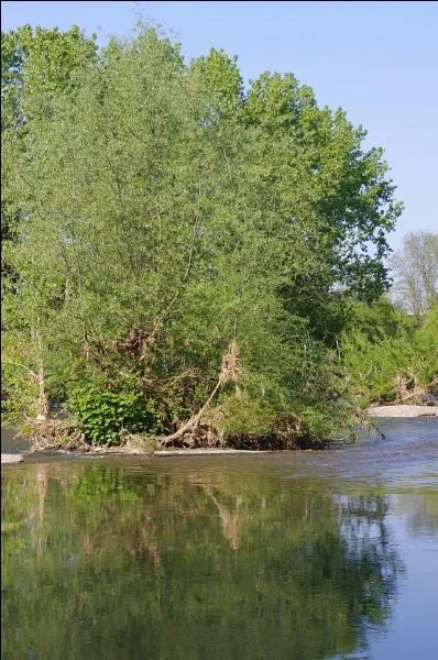 Cette ville du Haut-Rhin doit son nom à une rivière qui la traverse et que l'on retrouve dans le quartier de la Petite France à Strasbourg. Nous sommes à...