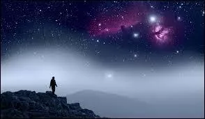 Vrai ou faux ? Les humains sont apparus il y a environ 1 million d'années.