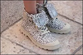 Quelle est cette marque de chaussures ?