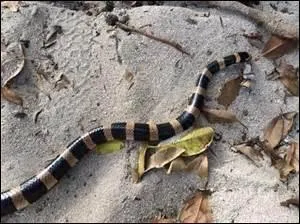 Quelle est cette ville ?