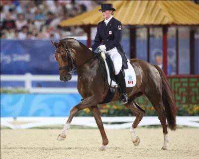 Quelle allure est la plus utilisée en dressage ?