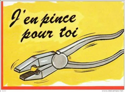 A quoi sert la pince à dénuder ?