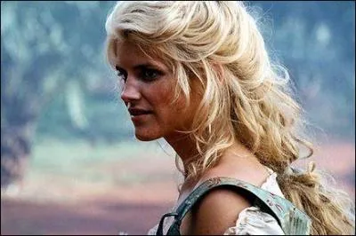 Quel est le nom de ce film ?