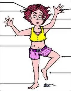 Comment s'appelle la partie du corps qui sert au toucher ?