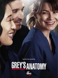 Quiz Grey s anatomy