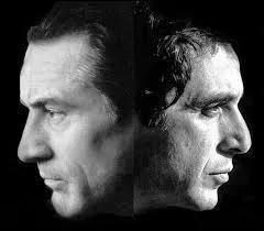 Dans quel film voyons-nous ce duo de légende ?